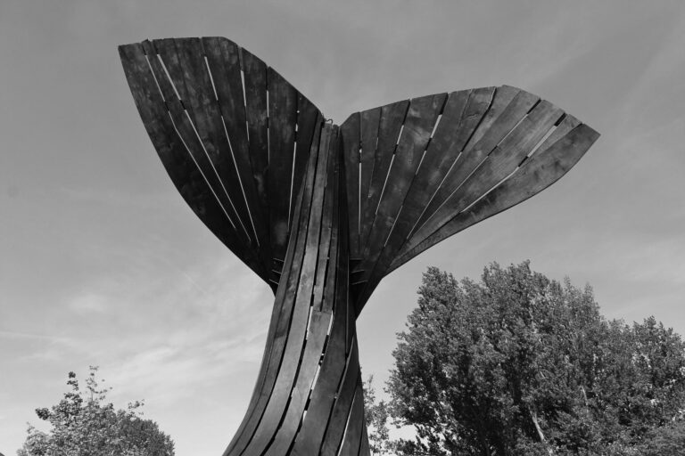 Konrad reitet in die Südsee, IGA Berlin 2017