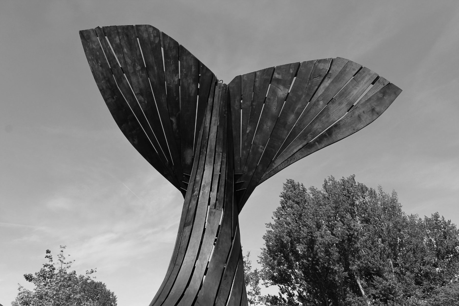 Konrad reitet in die Südsee, IGA Berlin 2017